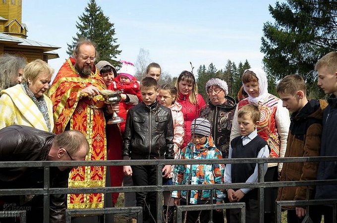 На родине Святителя Николая Японского посадили аллею сакуры