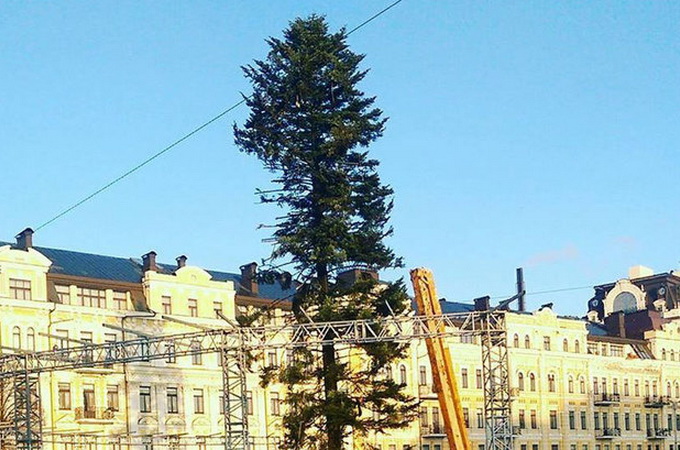 В Мережі з'ясували, чому «облисіла» головна різдвяна ялинка