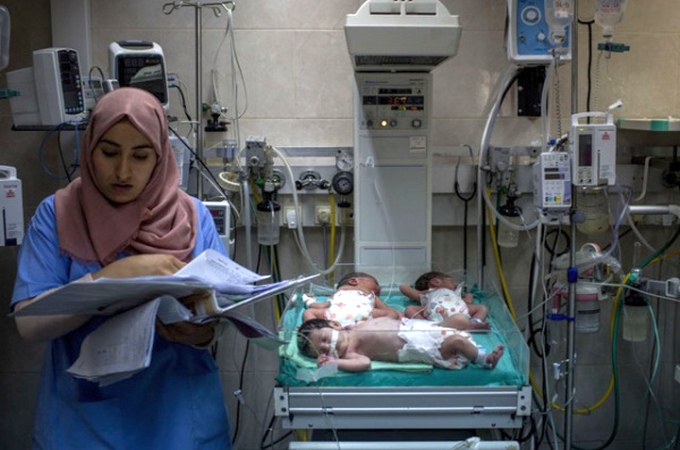 Палестинец назвал своих тройняшек «Иерусалим – Столица Палестины»