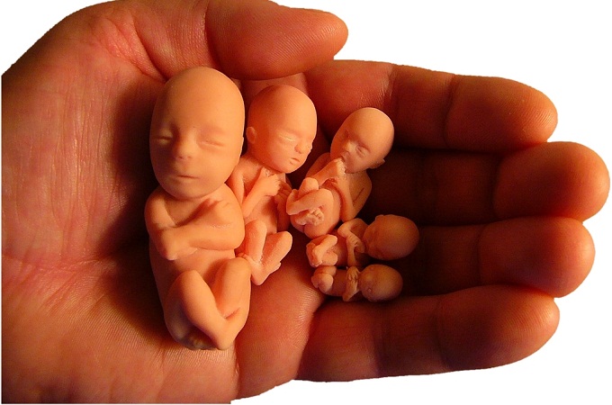 В США сатанистка судится с губернатором из-за брошюры об абортах 