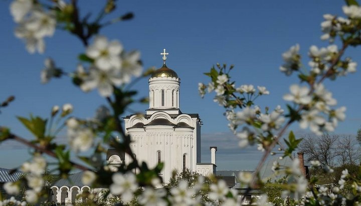 Донецька єпархія запрошує всіх поділитися пасхальною радістю з тими, кому особливо важко