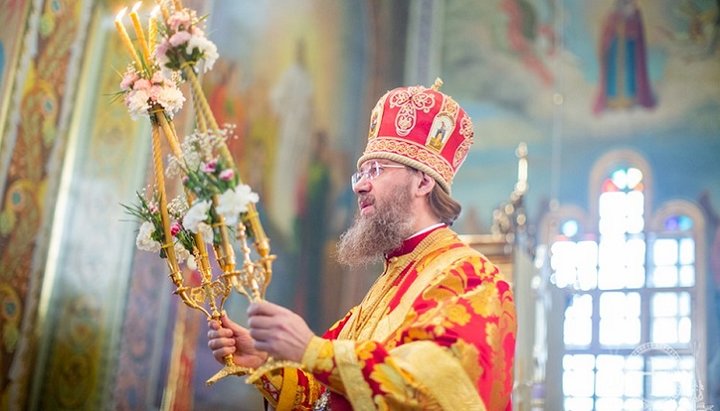 Митрополит Бориспольский и Броварской Антоний. Фото: Бориспольская епархия