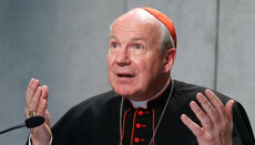 Un cardinal 