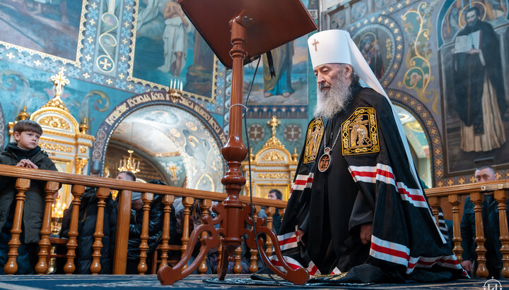 Блаженнейший Митрополит Онуфрий. Фото: УПЦ