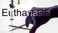 Euthanasia on the rise: New Zealand reports nearly 40% increase in one year
