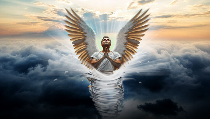 Гусеница становится бабочкой, ветхий человек – новым. Фото: СПЖ