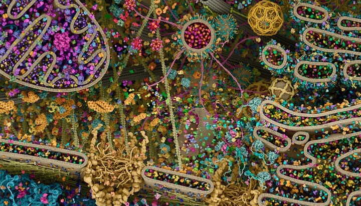 Calculations prove: Life could not have arisen by itself. But who created it?