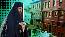 «Apelul» mitropolitului Tihic și Sinodul Patriarhal