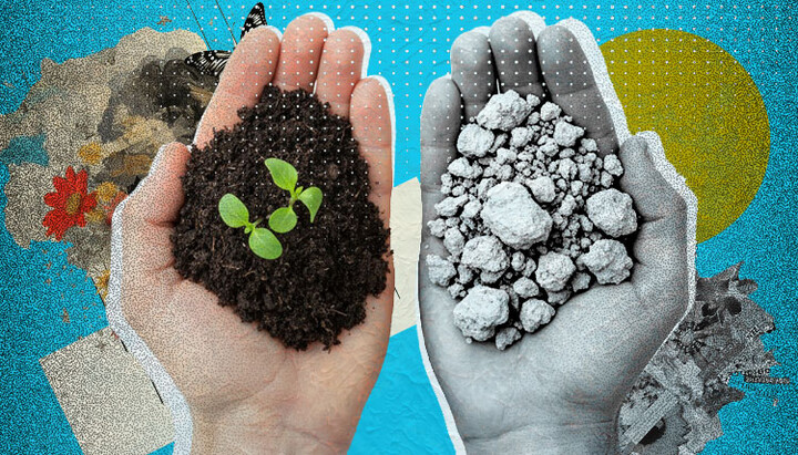 Sufletul poate fi atât roditor, cât și uscat. Fotografie: UJO