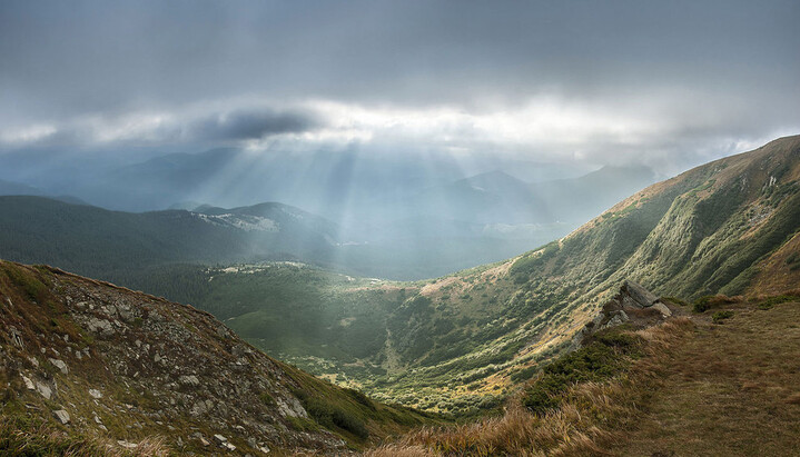 Тест заголовок