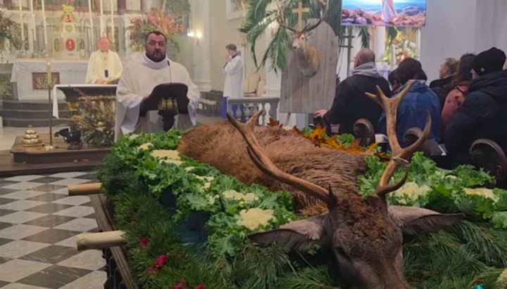 Body of a slain deer displayed during Mass in a Latvian Catholic church