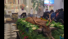В католической церкви Латвии во время мессы выставили тело убитого оленя