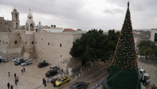 На площі у Віфлеємі вперше за два роки встановили різдвяну ялинку