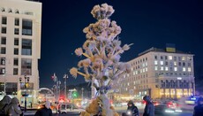 Pe Maidan a fost instalat un diduh de 7 metri ca înlocuitor al bradului de Crăciun