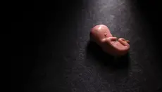 Германия направила 63 млн евро международным абортным организациям – СМИ