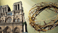 Στεφάνι από αγκάθια: βοτανική και φυσιολογία των παθημάτων