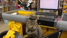 Православная Церковь Америки собрала для украинцев Польши $700 тысяч