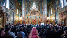 About how the UOC Council in Feofania 