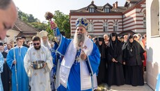 Патриарх Сербии: Богородица учит нас полностью доверять воле Божией