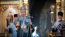 Митрополит Онуфрий объяснил как жить, чтобы не огорчать Богородицу