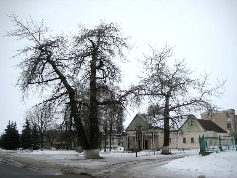 Церковь в честь Покрова Пресвятой Богородицы в селе Плоское (1889) фото 8