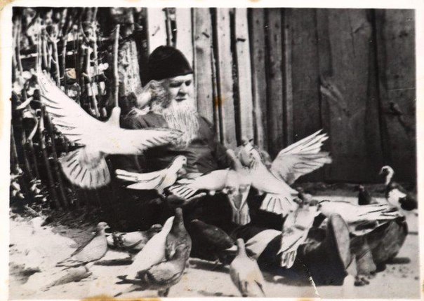 В Почаївській лаврі згадують преподобного Амфілохія: розклад богослужінь фото 1