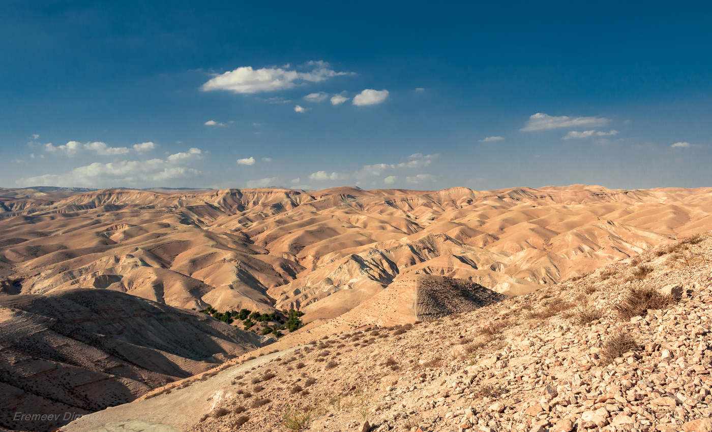 Панорама Иудейской пустыни